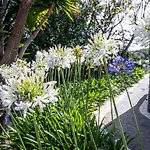 Quinta Girassol By Ymr בית נופש פונטה דו סול