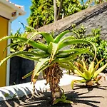 Quinta Girassol By Ymr