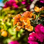 Quinta Girassol By Ymr בית נופש