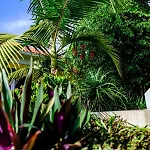 Quinta Girassol By Ymr *