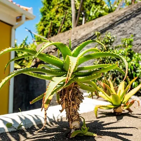 Quinta Girassol By Ymr