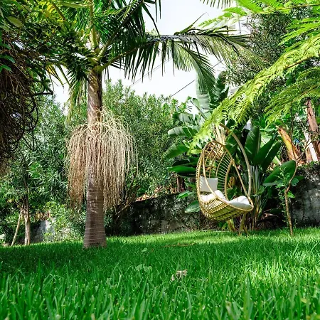 Quinta Girassol By Ymr * Ponta do Sol (Madeira)