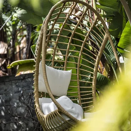 Quinta Girassol By Ymr * Ponta do Sol (Madeira)