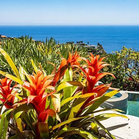 Quinta Girassol By Ymr Holiday home