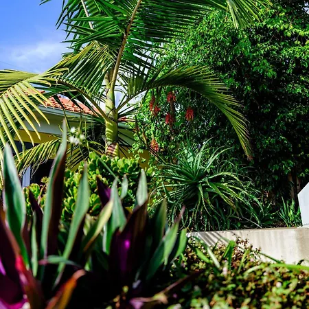 Quinta Girassol By Ymr *