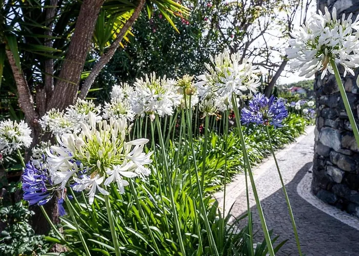 Quinta Girassol By Ymr Prázdninový dům Ponta do Sol (Madeira)