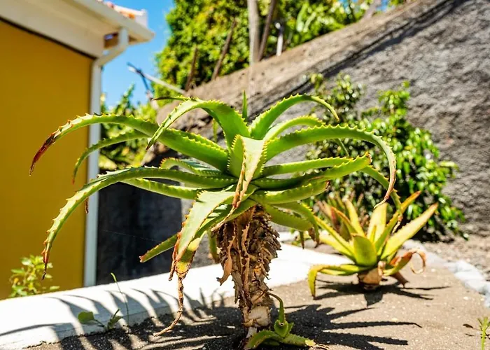 Quinta Girassol By Ymr