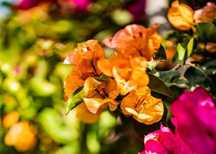 Quinta Girassol By Ymr Prázdninový dům