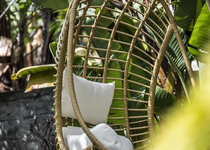 Quinta Girassol By Ymr * Ponta do Sol (Madeira)