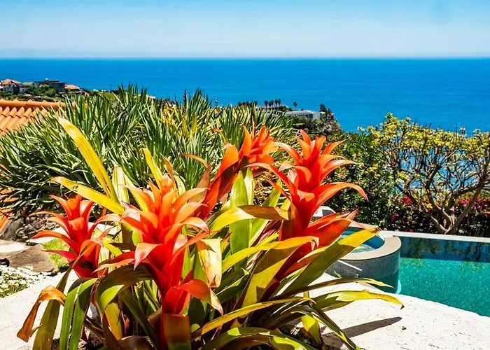 Prázdninový dům Quinta Girassol By Ymr