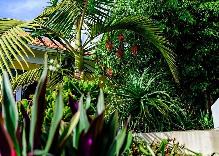 Quinta Girassol By Ymr *