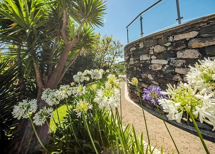 Quinta Girassol By Ymr Prázdninový dům *